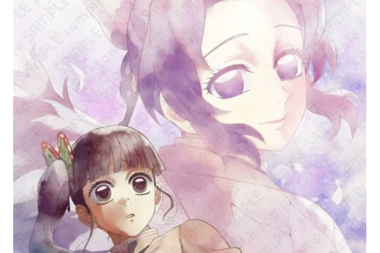 Update! Demon Slayer: Infinity Castle Celebrates Its First Anniversary With A Heartwarming Illustration of Shinobu and Kanao
