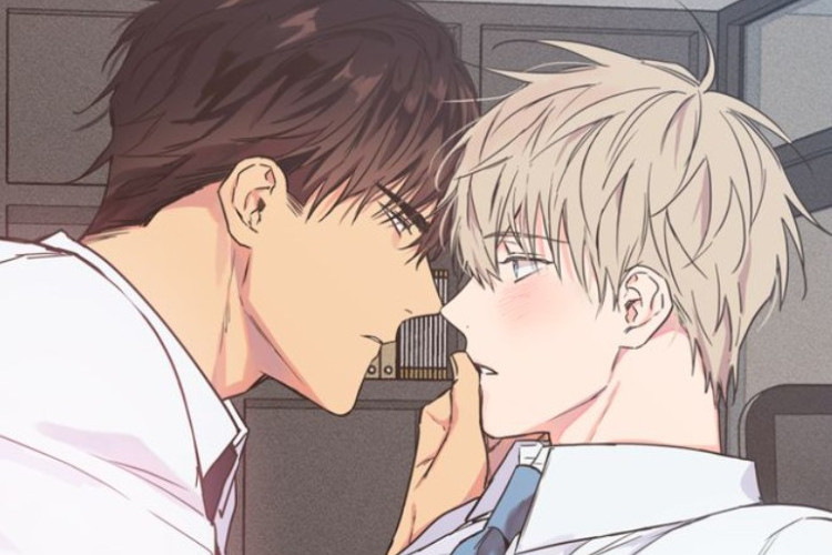 Synopsis, Original Tittle, & Reading Link BL Manhwa No Love Zone English Full Chapter 1-67, For Free Without Login