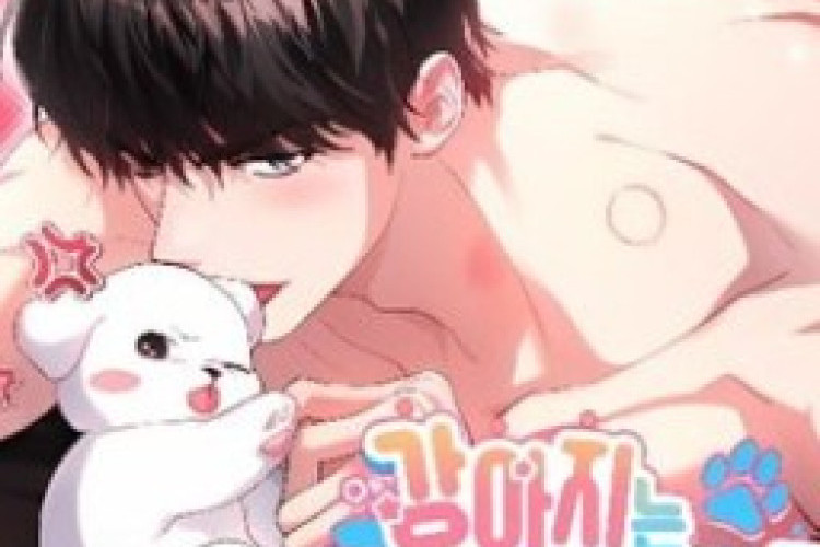Reading of BL Manhwa Paws & Claws Full Chapter English Translation, An Unexpected Life Changes So Quickly
