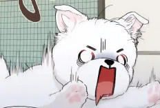 Little Dog's Nightmare! Reading of BL Manhwa Paws & Claws Chapter 1 English Translation