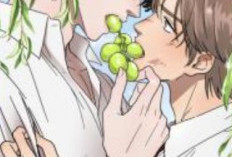 BL Manhwa The Transfer Student Wants to eat Full Chapter in English Scan, A Teenage Love Story That Many People Want