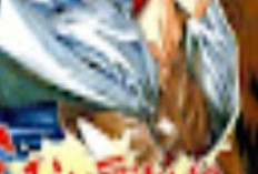 Manhwa Hero Story Full Chapter in English Translation, A Silly Teenage Master Thief Named Yushin Who Has a Strange Seal On His Back